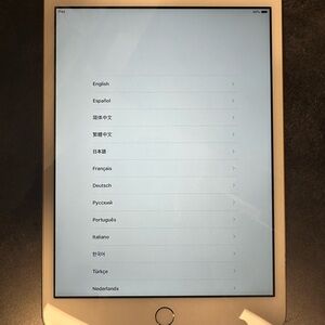 Apple iPad Tablet in gold iPad mini 3 with case